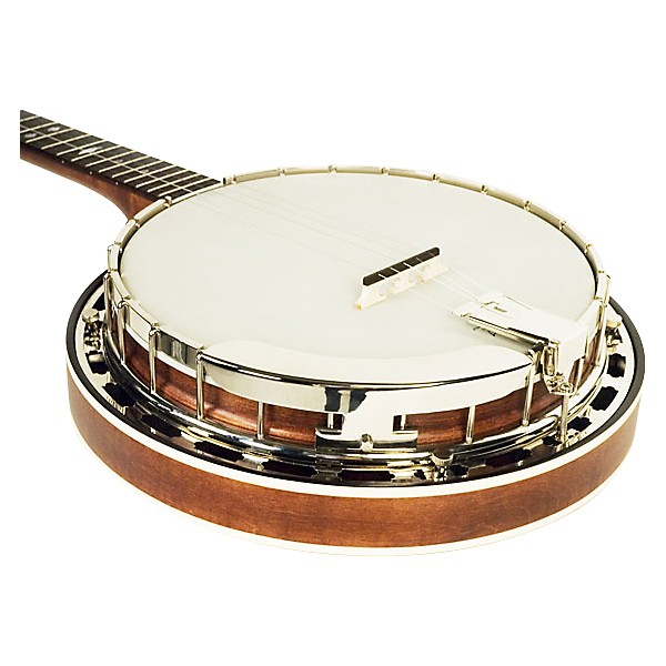 Open Box Recording King RK-R25 Madison 5-String Banjo Level 1 Maple