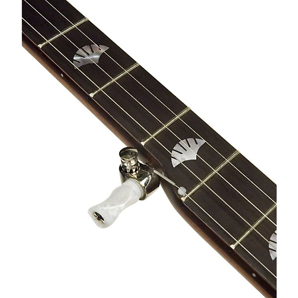 Open Box Recording King RK-R25 Madison 5-String Banjo Level 1 Maple