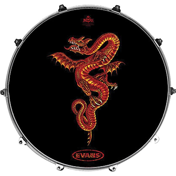 Evans Inked by Evans Alchemy Series Kick Drumhead 24 in. SOLARIS CHART
