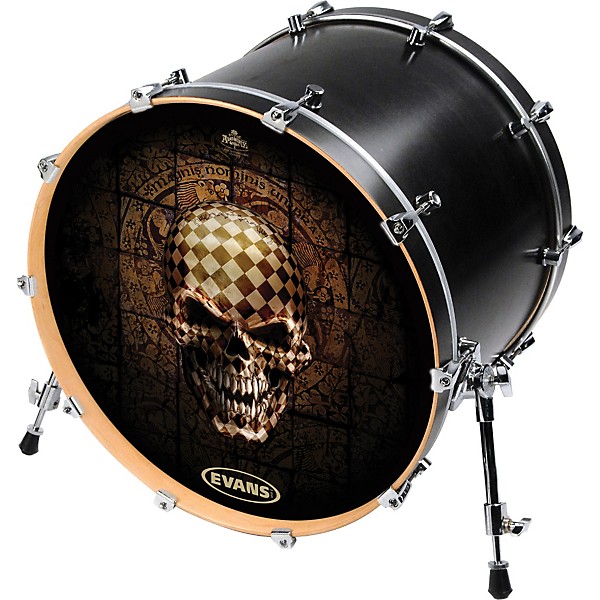 Evans Inked by Evans Alchemy Series Kick Drumhead 24 in. SOLARIS CHART