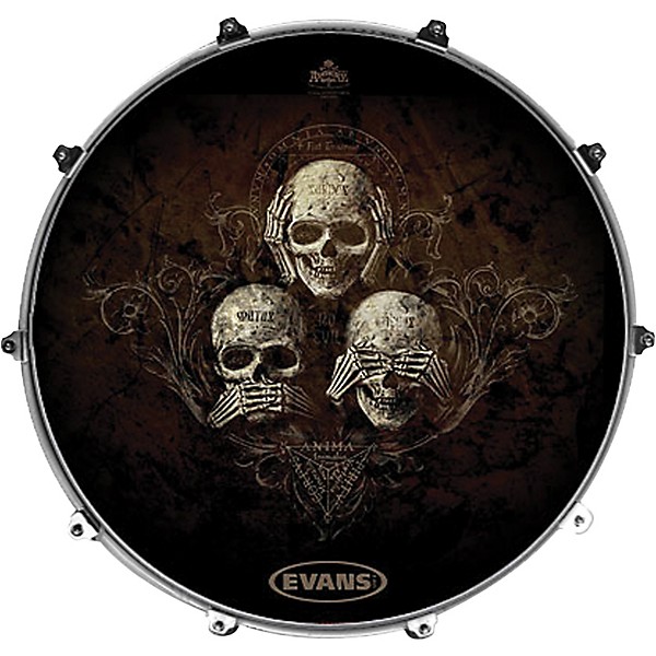 Evans Inked by Evans Alchemy Series Kick Drumhead 24 in. SOLARIS CHART