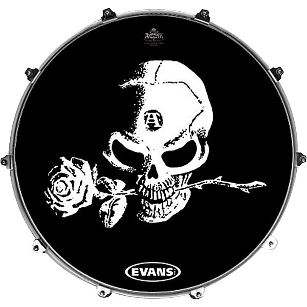 Evans Inked by Evans Alchemy Series Kick Drumhead 24 in. SOLARIS CHART