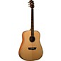 Washburn WD15S Solid Sitka Spruce Top Acoustic Dreadnought Mahogany Guitar Natural