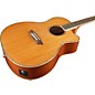 Washburn WG16SCE Solid Cedar Top Acoustic Cutaway Electric Grand Auditorium Mahogany Guitar with Fishman Preamp And Tuner ...