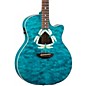 Open Box Luna Fauna Dragonfly Acoustic-Electric Guitar Quilted Maple Top Level 1 thumbnail