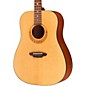 Open Box Luna Gypsy Muse Acoustic Guitar Package Level 1 thumbnail