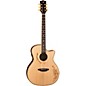 Open Box Luna Vicki Genfan Signature Acoustic-Electric Guitar Level 2 Regular 190839682475