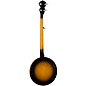 Open Box Luna Celtic 5-String Banjo Level 1