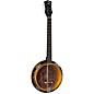 Open Box Luna Celtic 6-String Banjo Level 2 Regular 190839305862 thumbnail