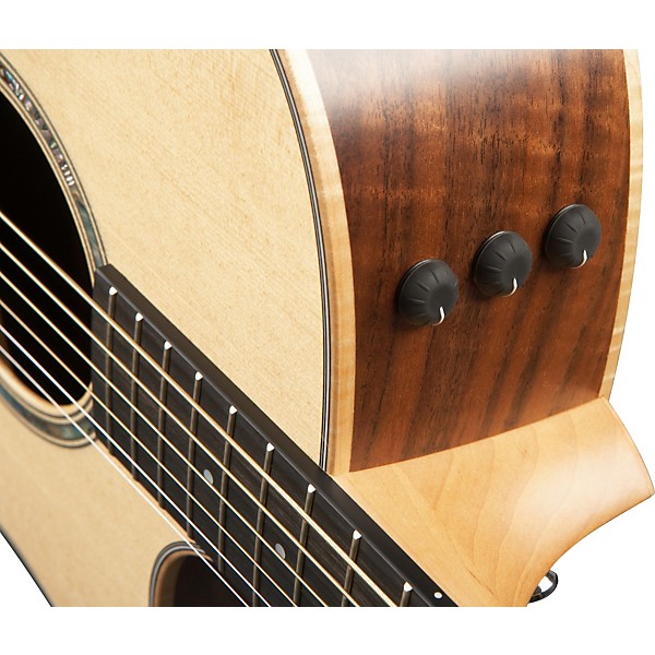 Taylor 416ce-FLTD エレアコ Taylor 416ce-FLTD - 2013 Fall Limited | Sweetwater