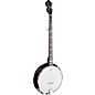 Open Box Mitchell MBJ200 Deluxe 5-String Banjo Level 2 Regular 190839061294