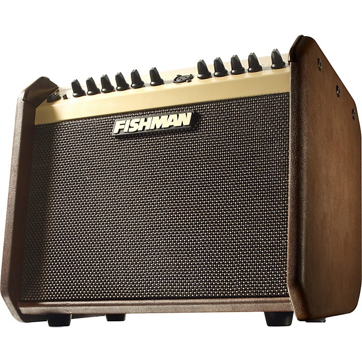 guitar center fishman loudbox mini