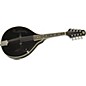 Rogue Learn-the-Mandolin Package Black