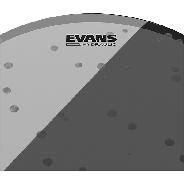 Evans Hydraulic Glass Drum Head 14 in.