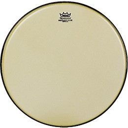 Remo Renaissance Ambassador Bass Batter 22 in.