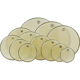 Remo Renaissance Ambassador Bass Batter 36 in.