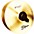 Zildjian A Z-MAC Cymbal Pair 18 in. Zildjian A Z-MAC Cymbal Pair 18 in.