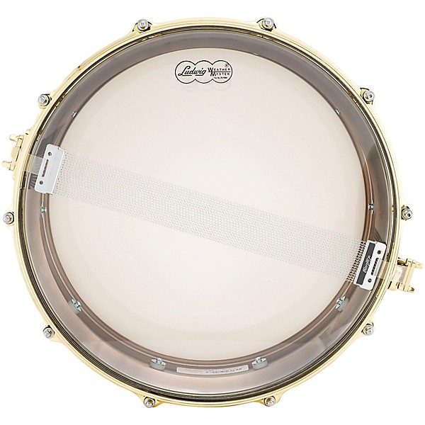 Ludwig Black Beauty Brass on Brass Snare Drum Brass 14 x 5 in.