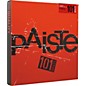 Paiste 101 Brass Essential Set 14/18