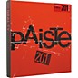 Paiste 201 Bronze Essential Set 14/18