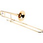 Yamaha YSL-445G Intermediate Trombone Outfit