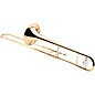 Yamaha YSL-445G Intermediate Trombone Outfit