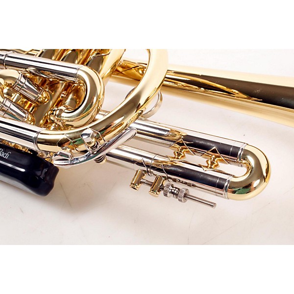 Open Box Bach 181ML Stradivarius Series Bb Cornet Level 2  888365283739