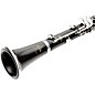 Buffet Crampon R13 Greenline Professional Bb Clarinet With Nickel-Plated Keys