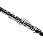 Buffet Crampon R13 Greenline Professional Bb Clarinet With Nickel-Plated Keys