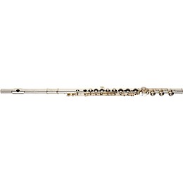 Open Box Gemeinhardt Model 23SSB Professional Flute Level 2 Regular 194744193514