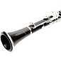 Open Box Selmer Paris Signature Professional Bb Clarinet Level 2 Regular 190839879936