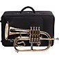 Antoine Courtois Paris AC156R Professionel Series Bb Flugelhorn Lacquer