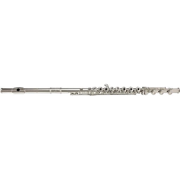 Avanti 1000 Intermediate Flute Outfit B Foot, Offset G With E-Facilitator