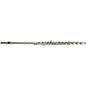 Avanti 1000 Intermediate Flute Outfit B Foot, Offset G With E-Facilitator thumbnail