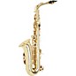 Open Box Etude EAS-100 Student Alto Saxophone Level 2 Lacquer 888366029947