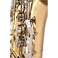 Open Box Bundy BTS-300 Tenor Saxophone Outfit Level 2 Lacquer 886830094446
