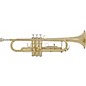 Open Box Bundy BTR-300 Series Student Bb Trumpet Level 2 Lacquer 886830337512