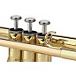 Open Box Bundy BTR-300 Series Student Bb Trumpet Level 2 Lacquer 886830337512