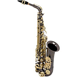Open Box Selmer SAS280 La Voix II Alto Saxophone Outfit Level 1 Black Nickel