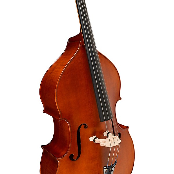 Ren Wei Shi Model 705 Double Bass
