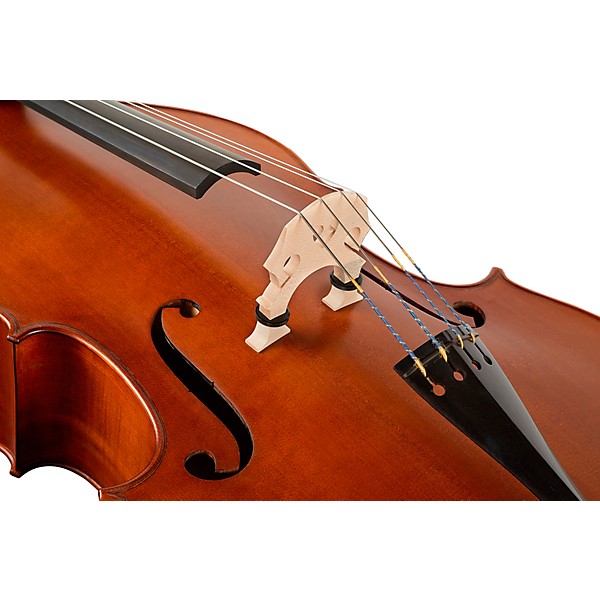 Ren Wei Shi Model 705 Double Bass