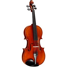 Ren Wei Shi Artist Viola 16 in. with Arcolla Bow and Oblong Case