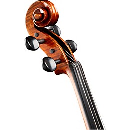 Ren Wei Shi Artist Viola 16 in. with Arcolla Bow and Oblong Case