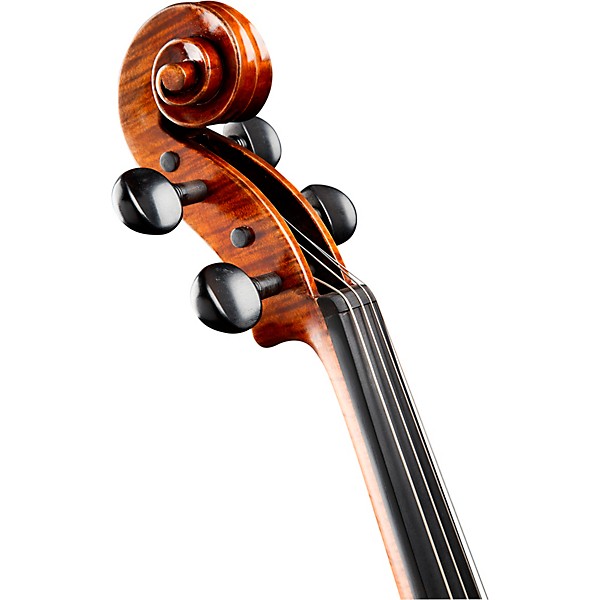 Ren Wei Shi Artist Viola 16 in. with Arcolla Bow and Oblong Case