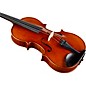 Ren Wei Shi Artist Viola 16 in. with Arcolla Bow and Oblong Case