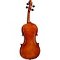 Ren Wei Shi Artist Viola 15 1/2 In. with Arcolla Bow and Oblong Case