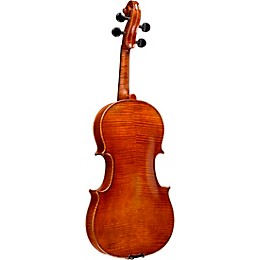 Ren Wei Shi Artist Viola 16.5 in. with Arcolla Bow and Oblong Case