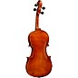Ren Wei Shi Artist Viola 16.5 in. with Arcolla Bow and Oblong Case