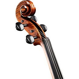 Ren Wei Shi Artist Viola 16.5 in. with Arcolla Bow and Oblong Case