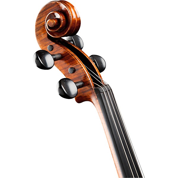 Ren Wei Shi Artist Viola 16.5 in. with Arcolla Bow and Oblong Case